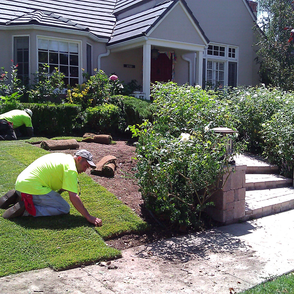 Landscaper Los Angeles: Expert Tips to Know