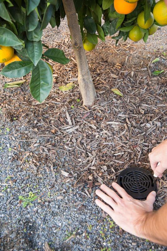 
                      
                        Root Zone Watering System - Pulled Nursery
                      
                    